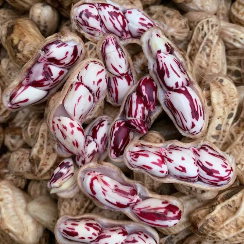 Tiger Selected Stripped Peanut Seeds, Mae Hong Son Specialty - 10
