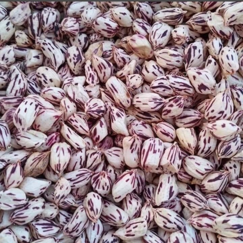 Tiger Selected Stripped Peanut Seeds, Mae Hong Son Specialty - 10