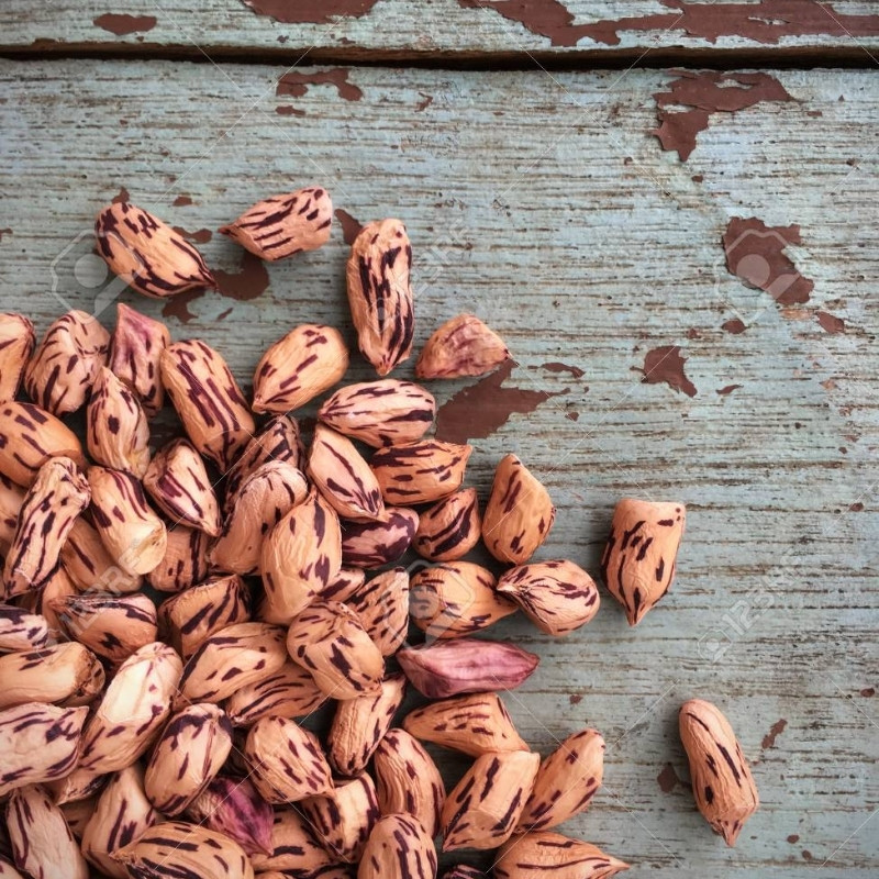 Tiger Selected Stripped Peanut Seeds, Mae Hong Son Specialty - 10
