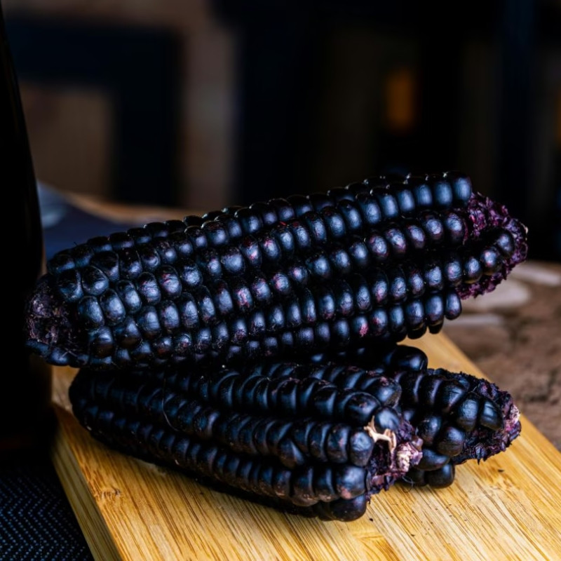 Purple Corn Seeds, Kculli Corn, Maiz Morado, Andean Black Corn - 10