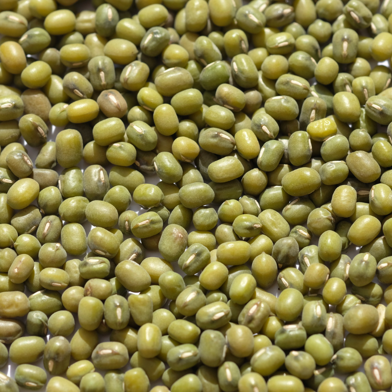 Vigna radiata, Green Moong Dal, Mung Bean - 100