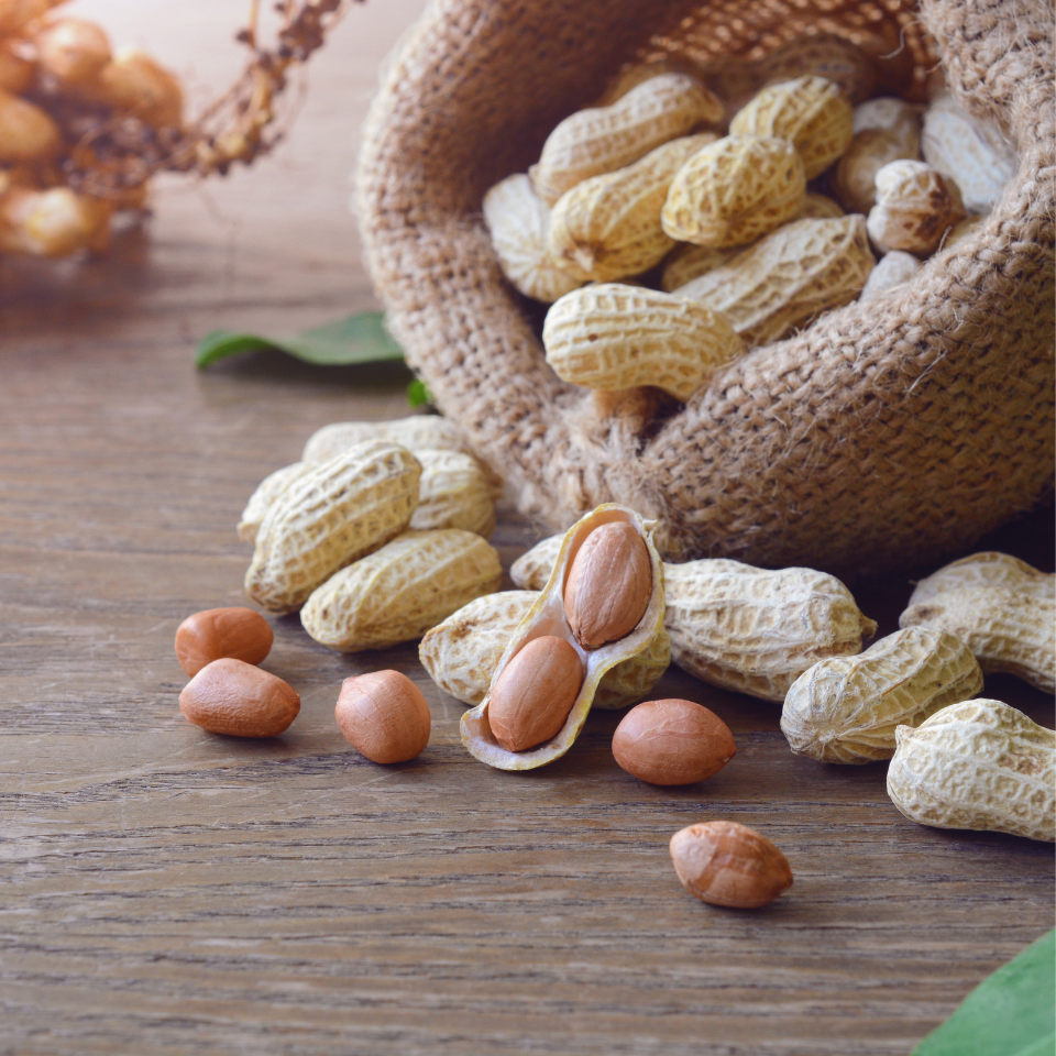 Selected Peanuts seeds - 50