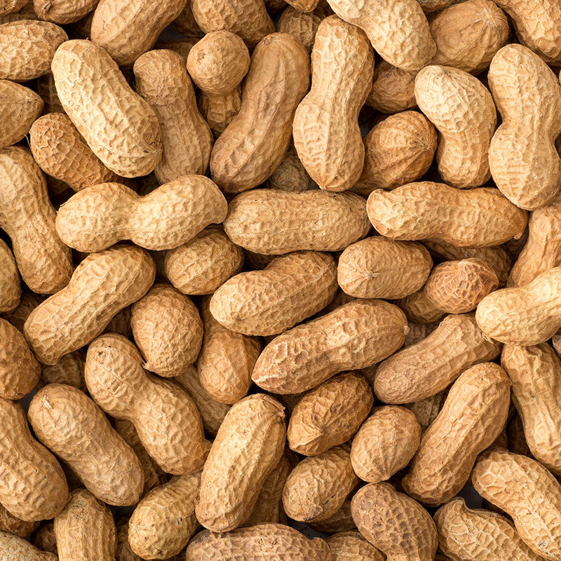 Selected Peanuts seeds - 50