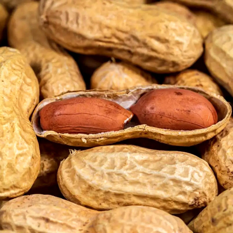 Selected Peanuts seeds - 50