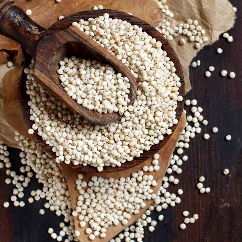 Jowar, Sorghum, Milo, Indian millet seeds - 100