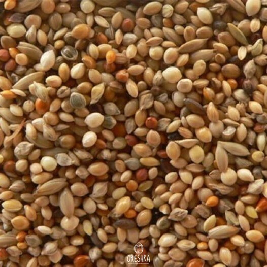 Foxtail Millet Foxtail Millet