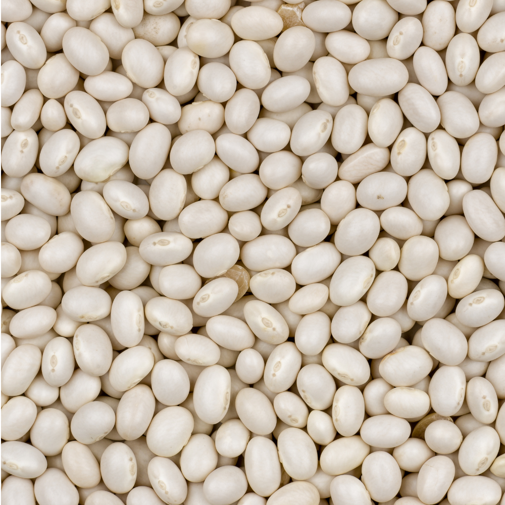 White Navy Beans, Small White Beans - 30