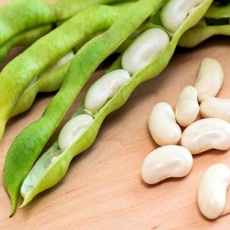 White Navy Beans, Small White Beans - 30
