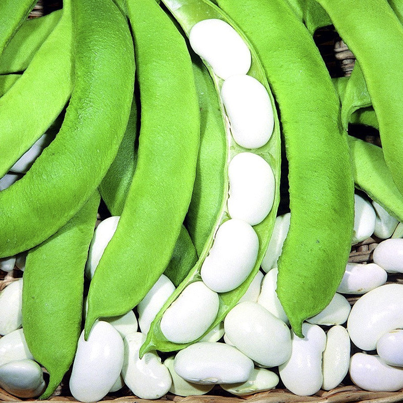 White Navy Beans, Small White Beans - 30