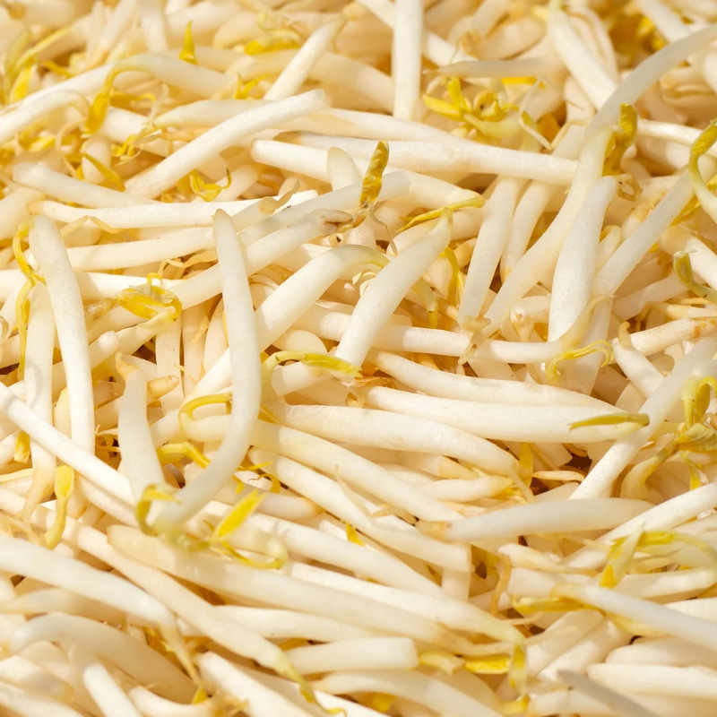 White Navy Beans, Small White Beans - 30