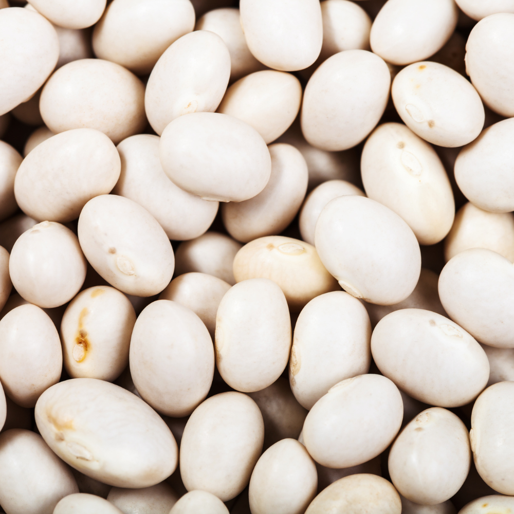 White Navy Beans, Small White Beans - 30