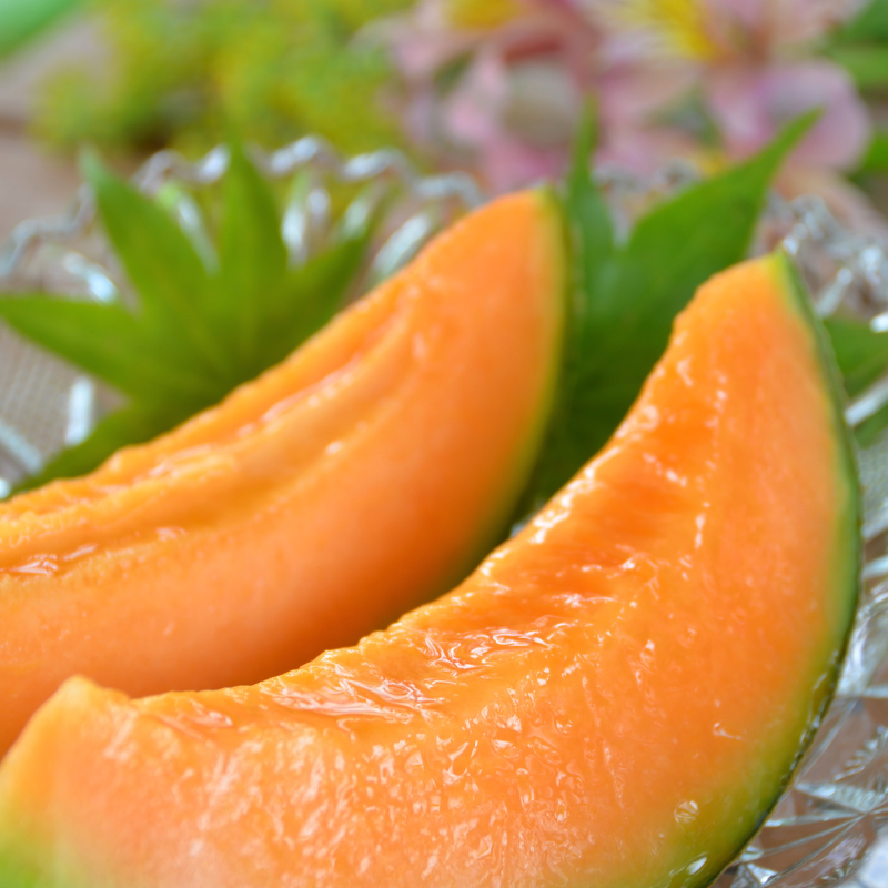 Muskmelon Punjabi Sunhari seeds - 10