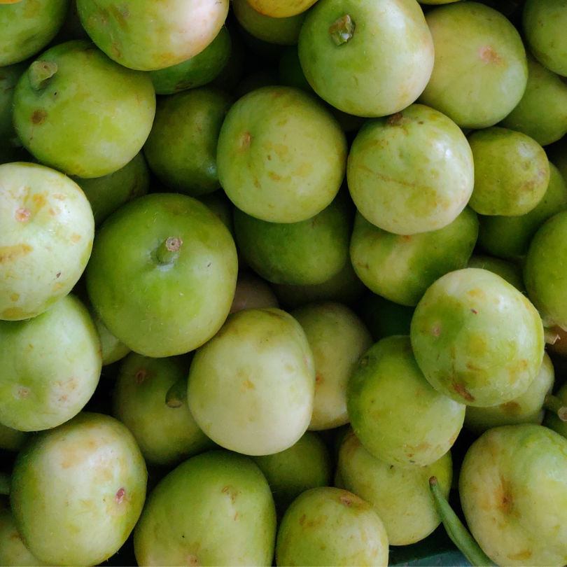 Tinda, Green baby pumpkin seeds - 10
