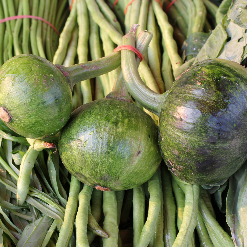 Tinda, Green baby pumpkin seeds - 10