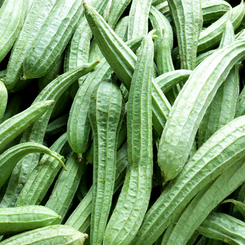 Ridge gourd long green seeds - 10