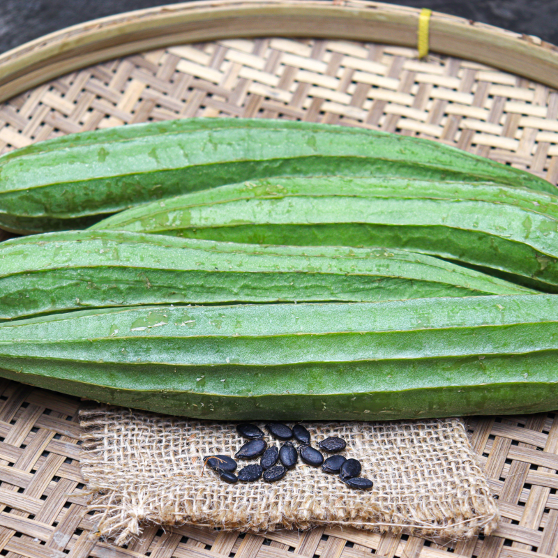 Ridge gourd long green seeds - 10