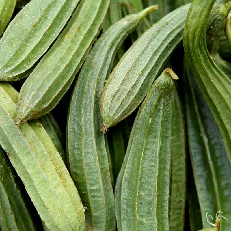 Ridge gourd long green seeds - 10