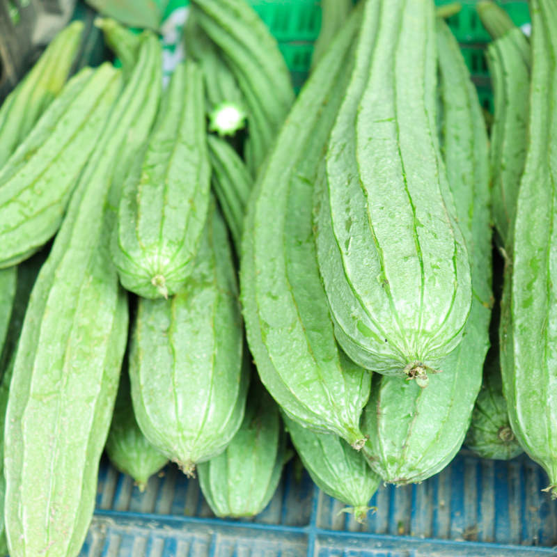 Ridge gourd long green seeds - 10
