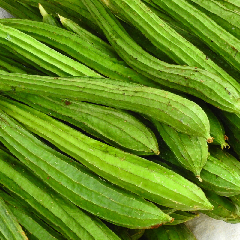 Ridge gourd long green seeds - 10
