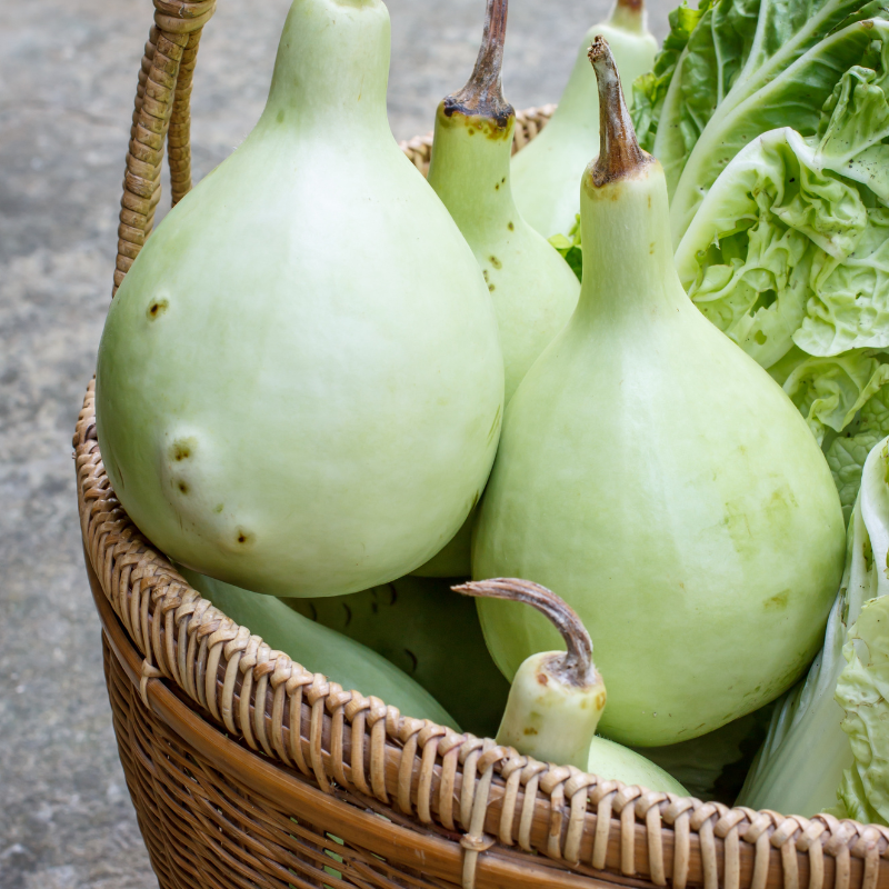 Bottle gourd Lattu seeds - 10