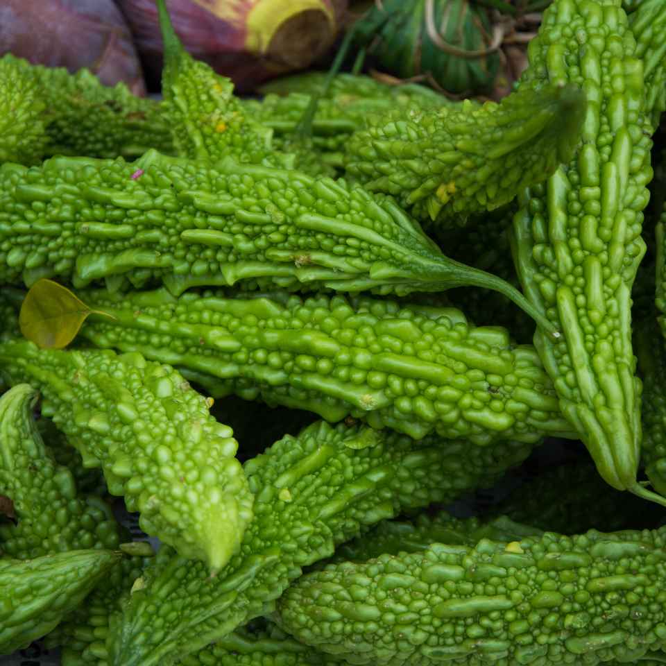 Small bitter gourd Karela seeds - 200