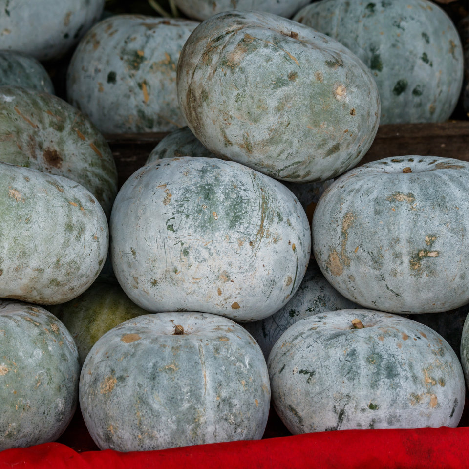 Winter Pumpkin, Sweet Winter Squash seeds - 15