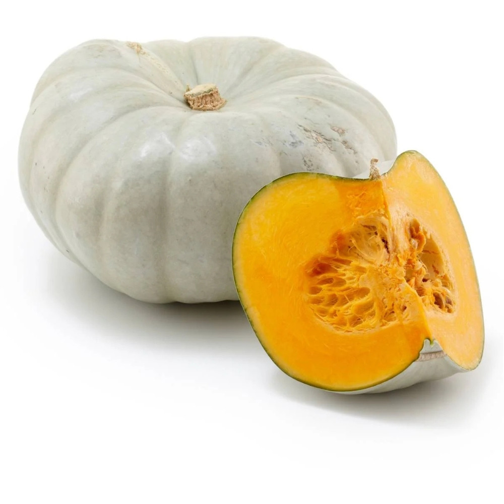 Grey Pumpkin, Queensland Blue Pumpkin seeds - 5