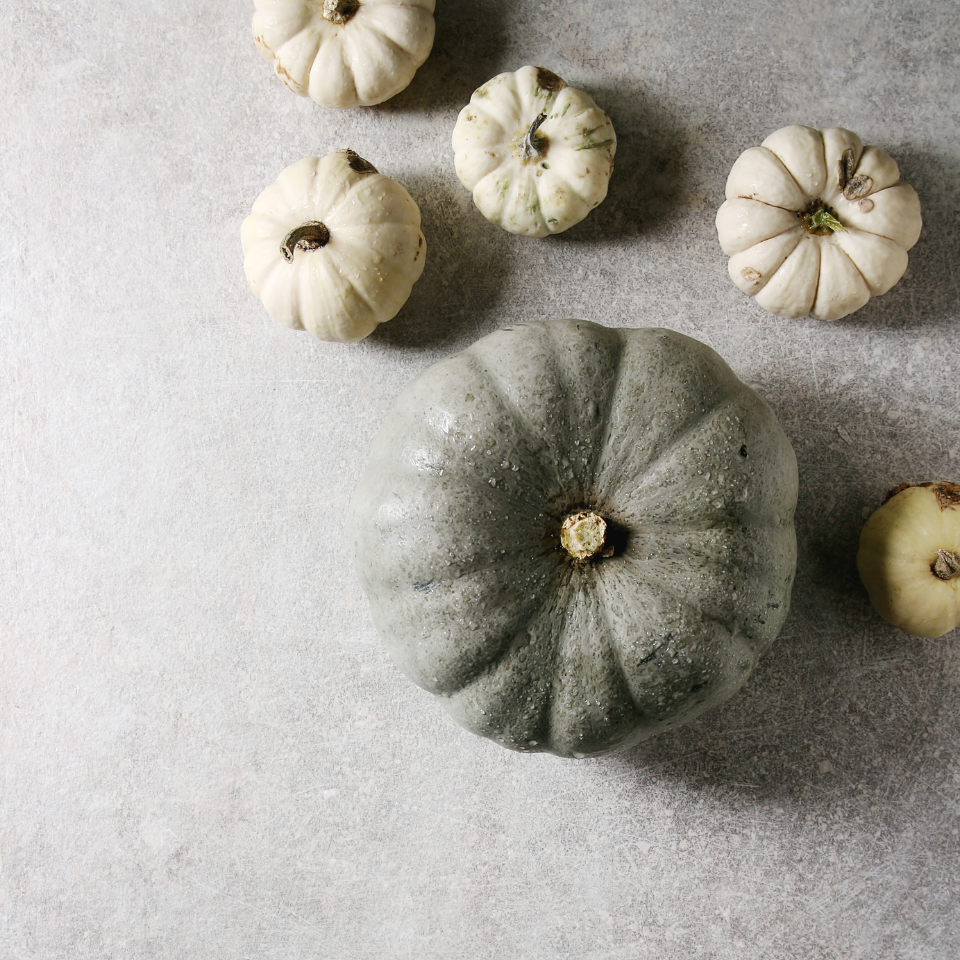 Grey Pumpkin, Queensland Blue Pumpkin seeds - 5