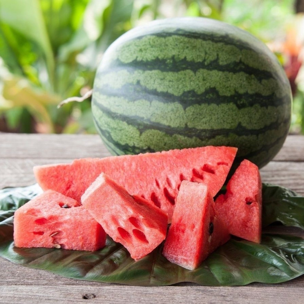 Watermelon Pink Frosty seeds - 5