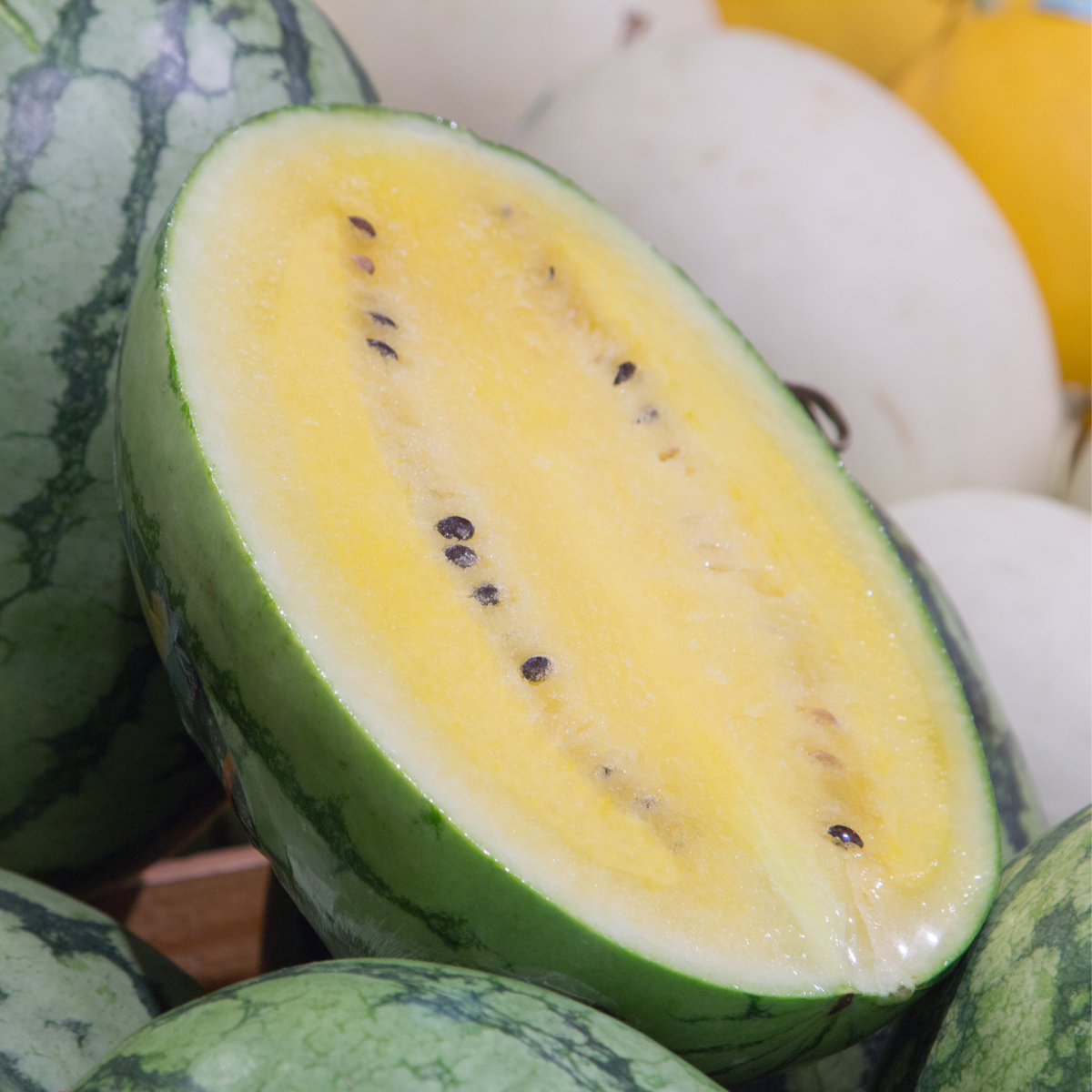 Yellow Watermelon seeds - 5