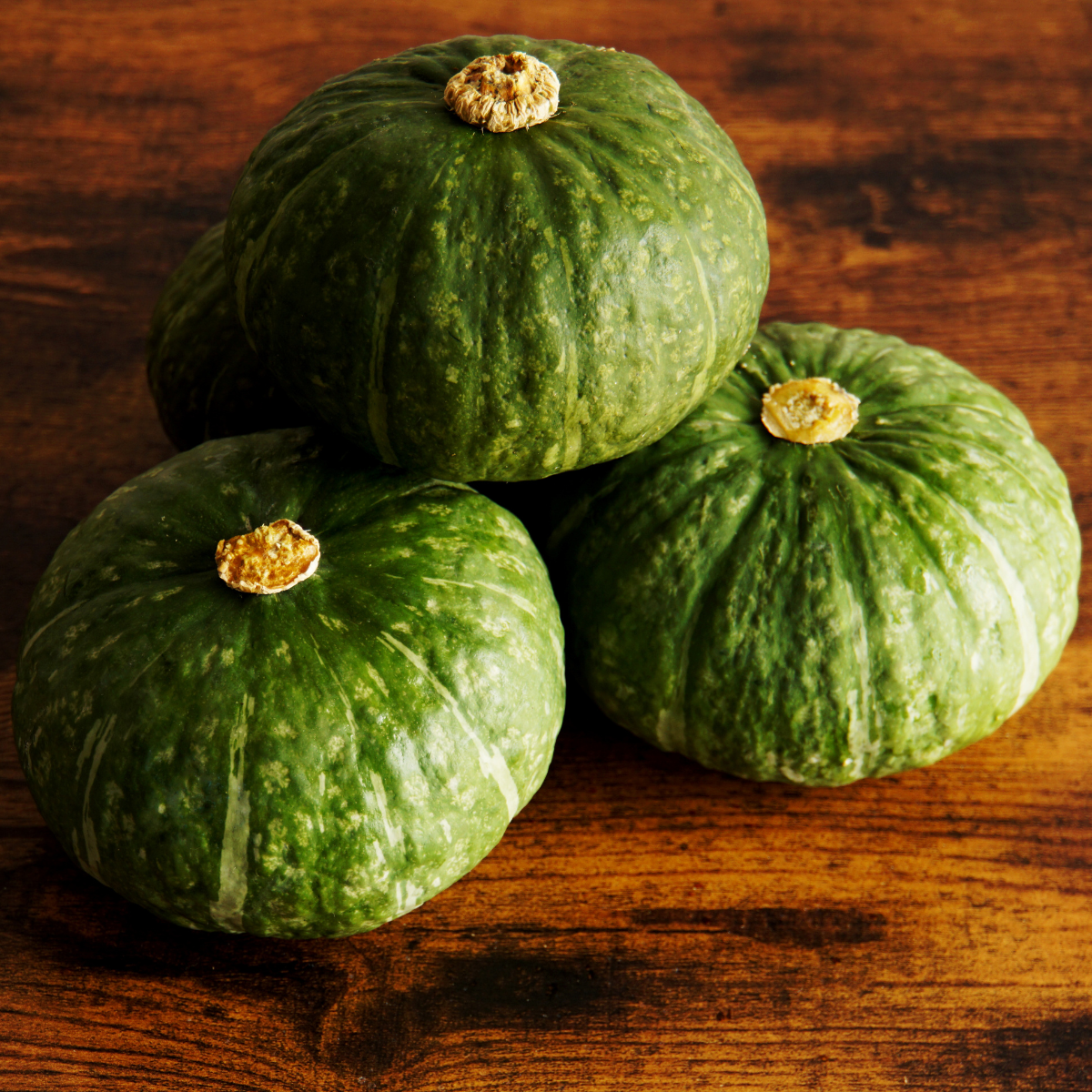 Pumpkin Marina di Chioggia seeds - 5
