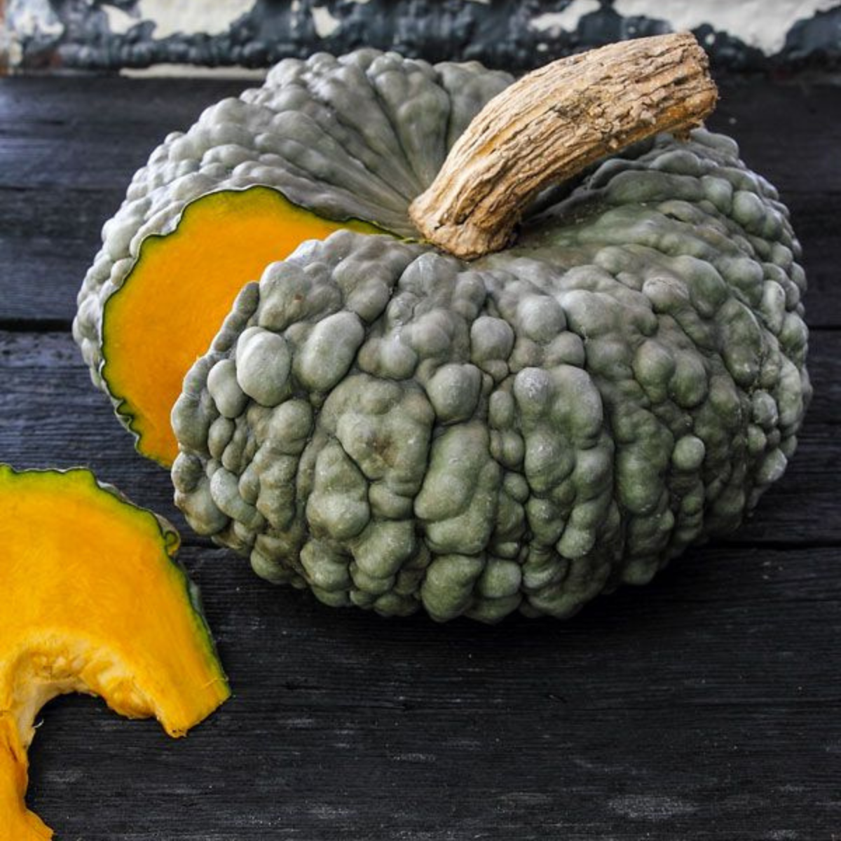 Pumpkin Marina di Chioggia seeds - 5