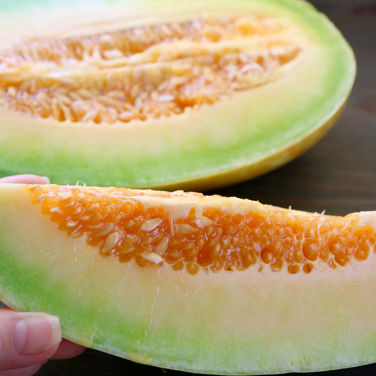 Thai Melon seeds, Honey Melon - 20
