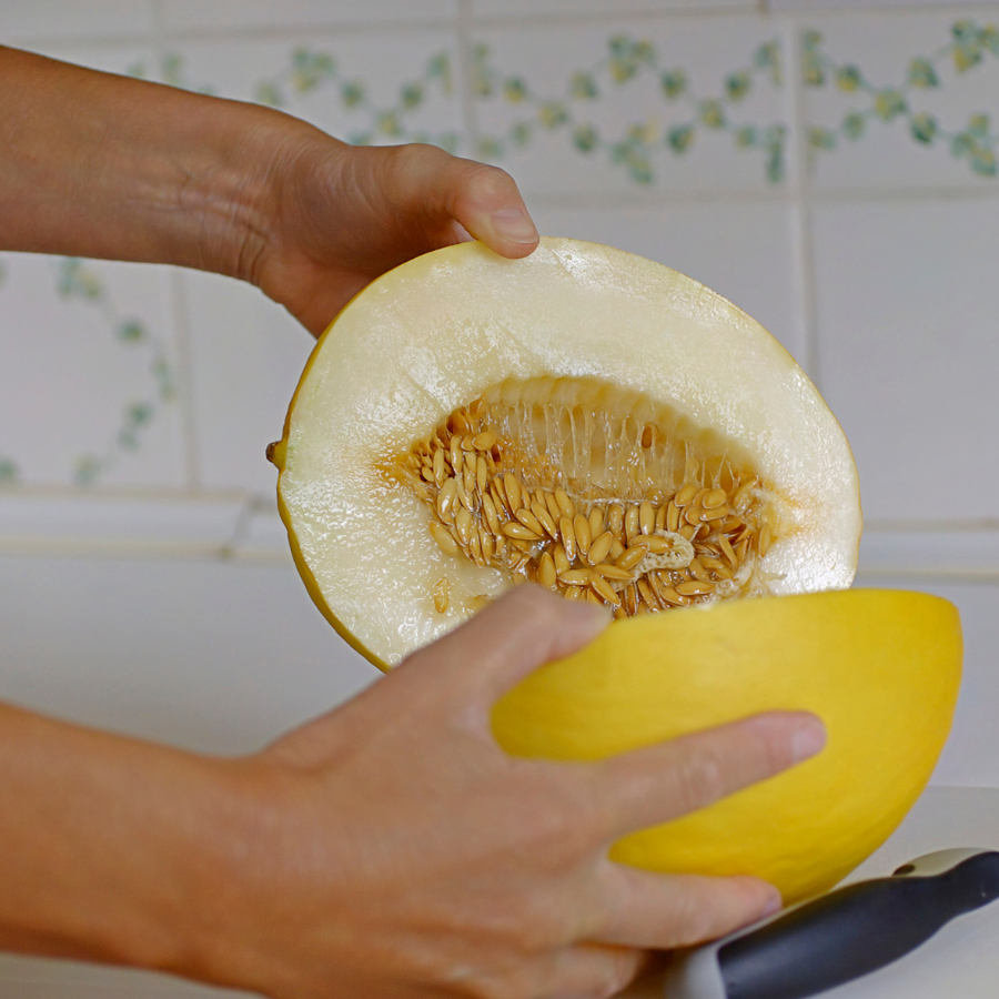 Canary Melon seeds - 10