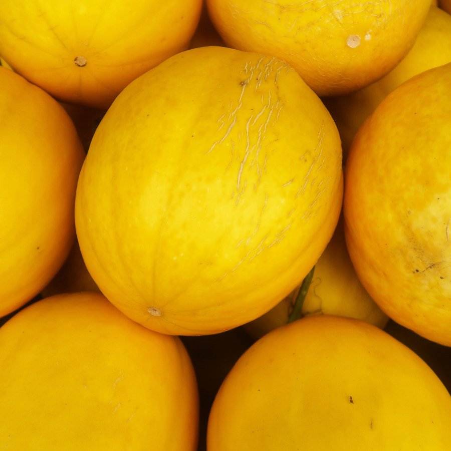 Canary Melon seeds - 10