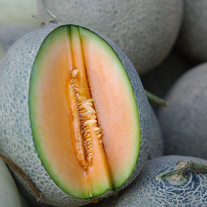 Musk melon Madhu Ras seeds - 10