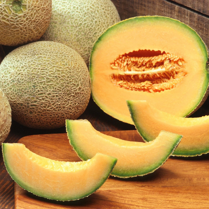 Musk melon Madhu Ras seeds - 10