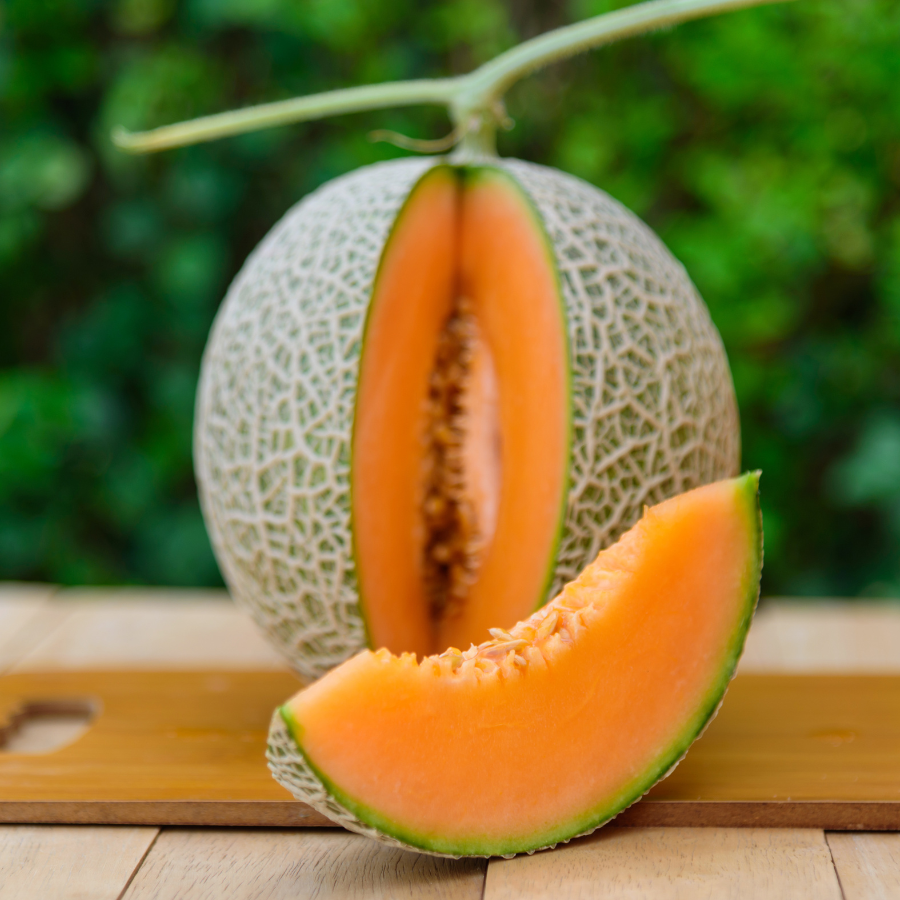 Musk melon Madhu Ras seeds - 10