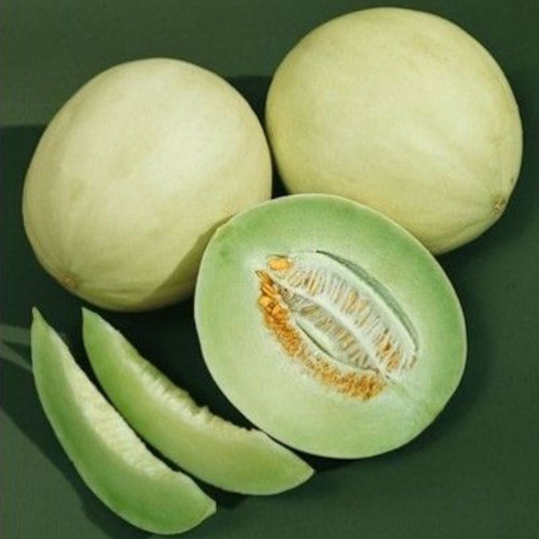 Green Honeydew Melon Seeds - 10
