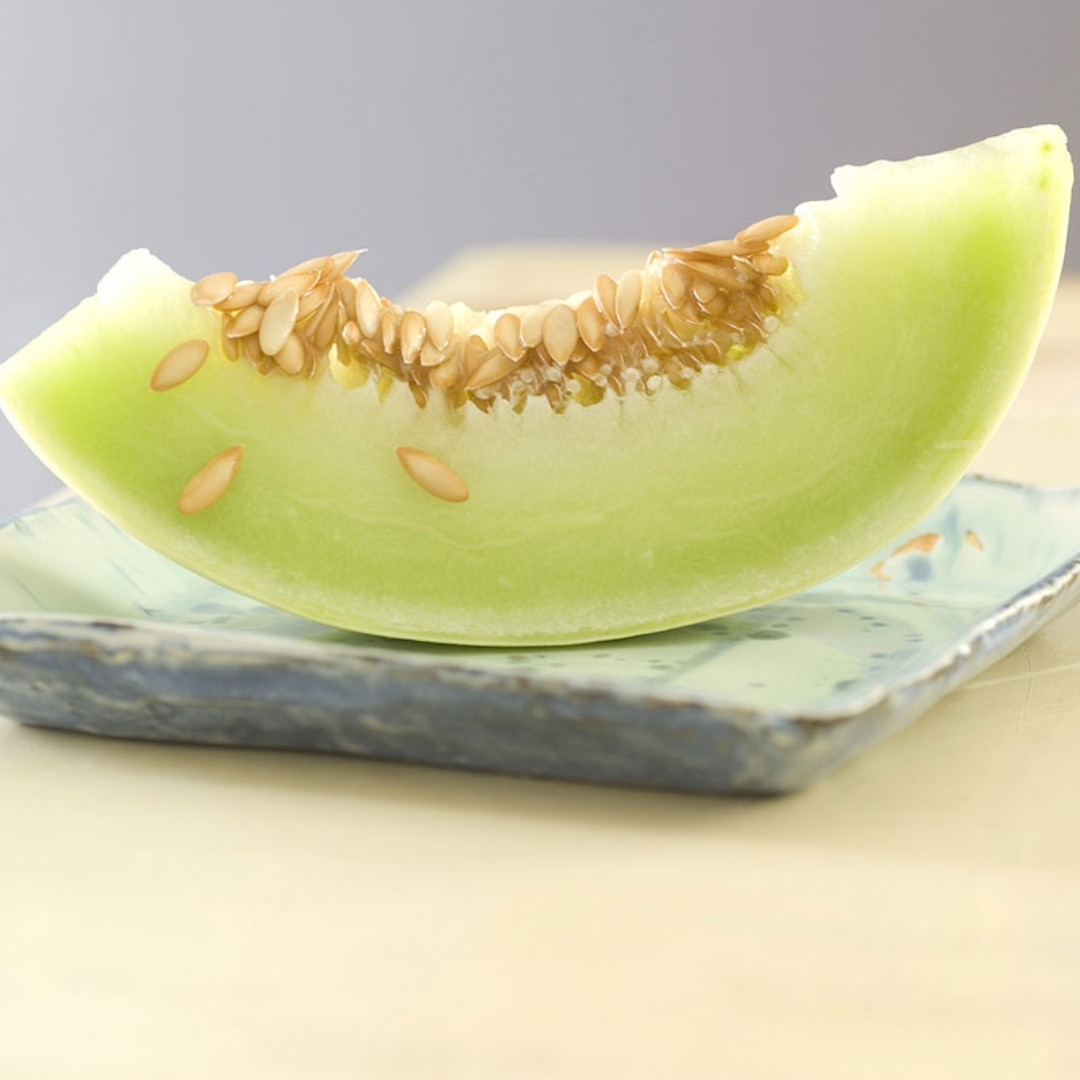 Green Honeydew Melon Seeds - 10