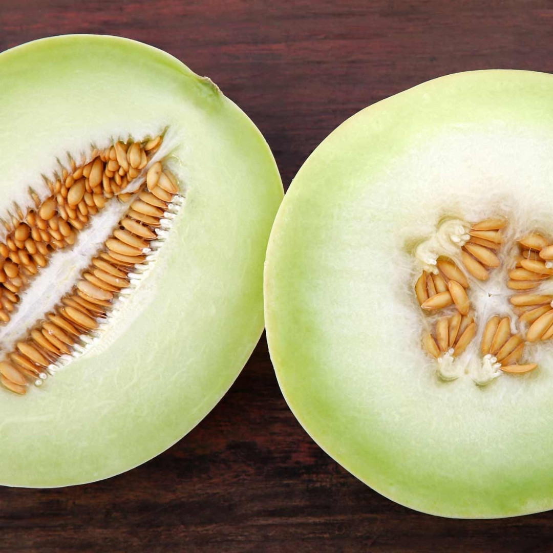 Green Honeydew Melon Seeds - 10