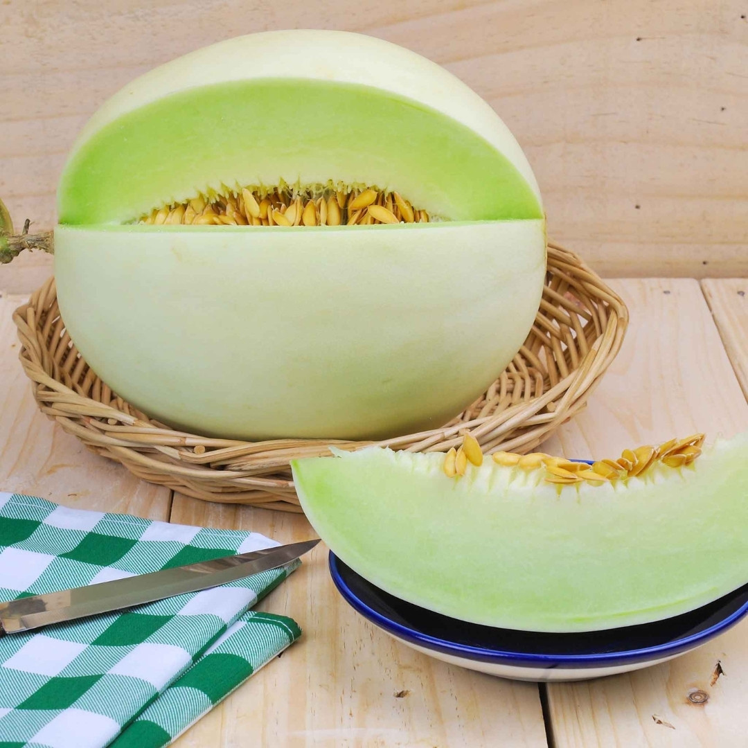 Green Honeydew Melon Seeds - 10