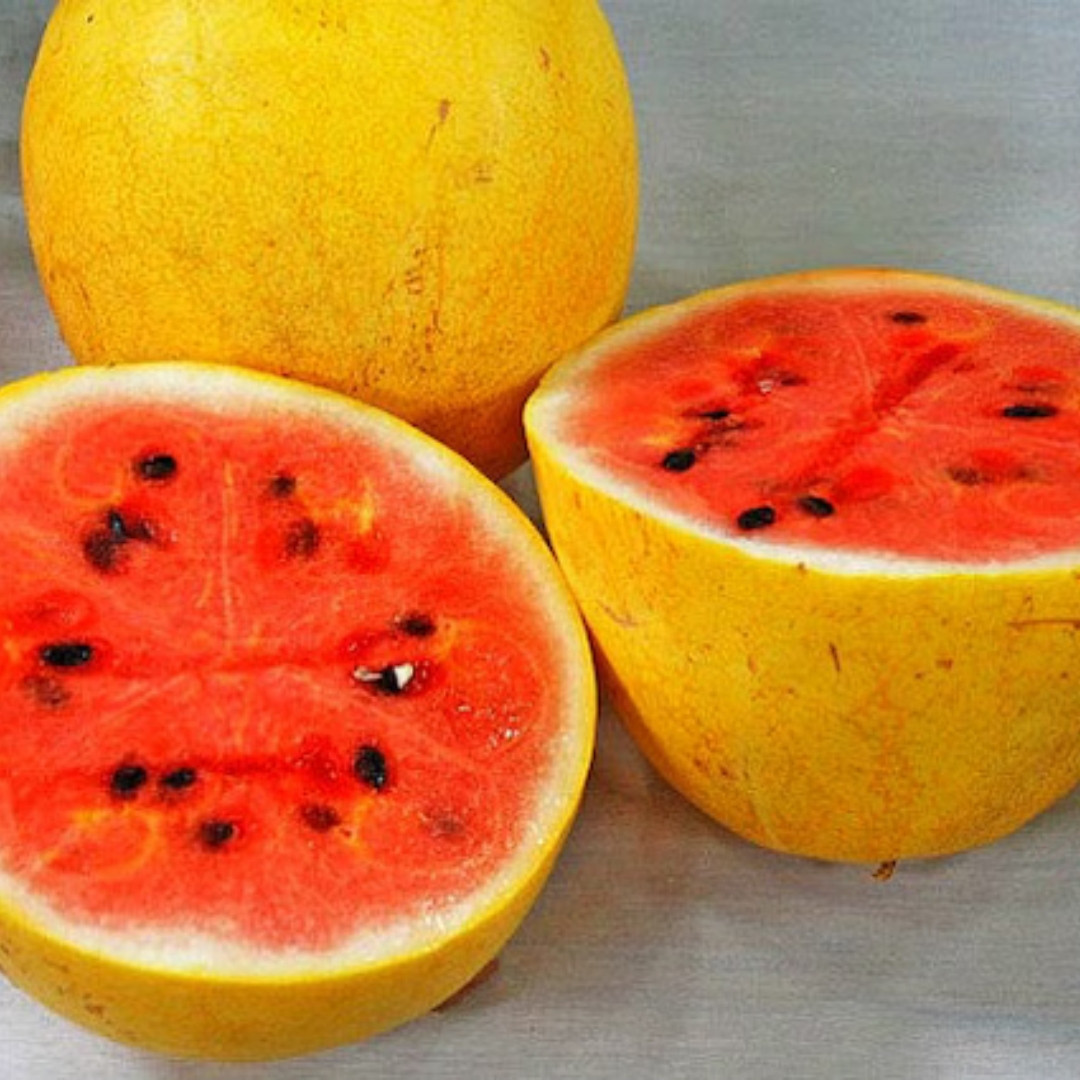 Watermelon Golden Gift of the Sun Seeds - 10