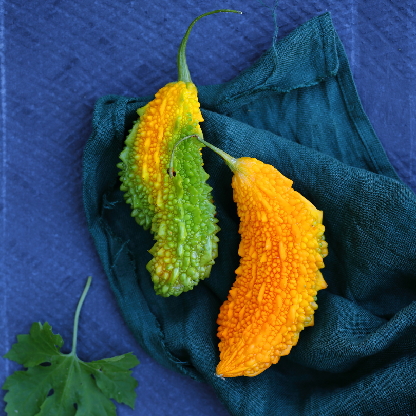 Bitter melon, goya, bitter apple, bitter gourd seeds - 5