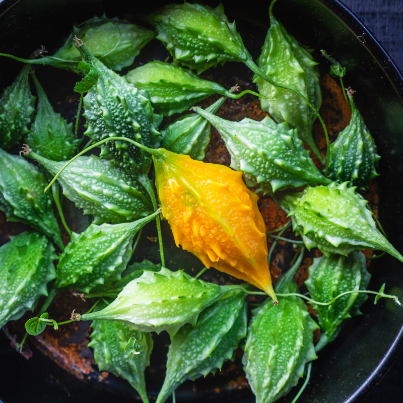 Bitter melon, goya, bitter apple, bitter gourd seeds - 5