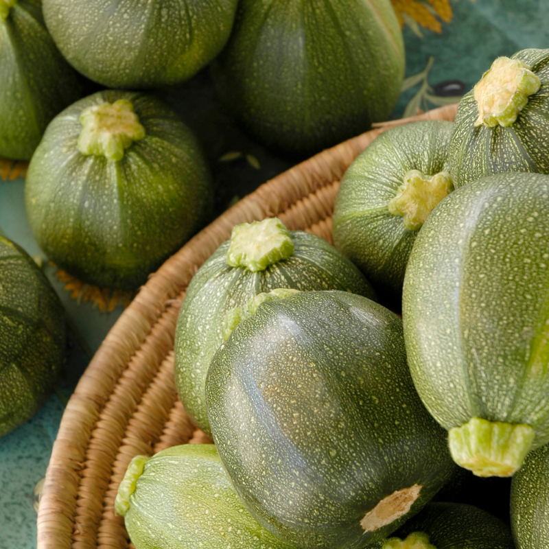 Chappan kaddu (Indian summer squash) seeds - 10