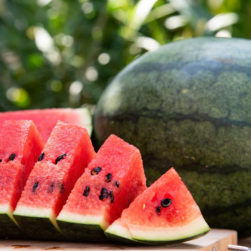 Watermelon Round Black seeds - 10