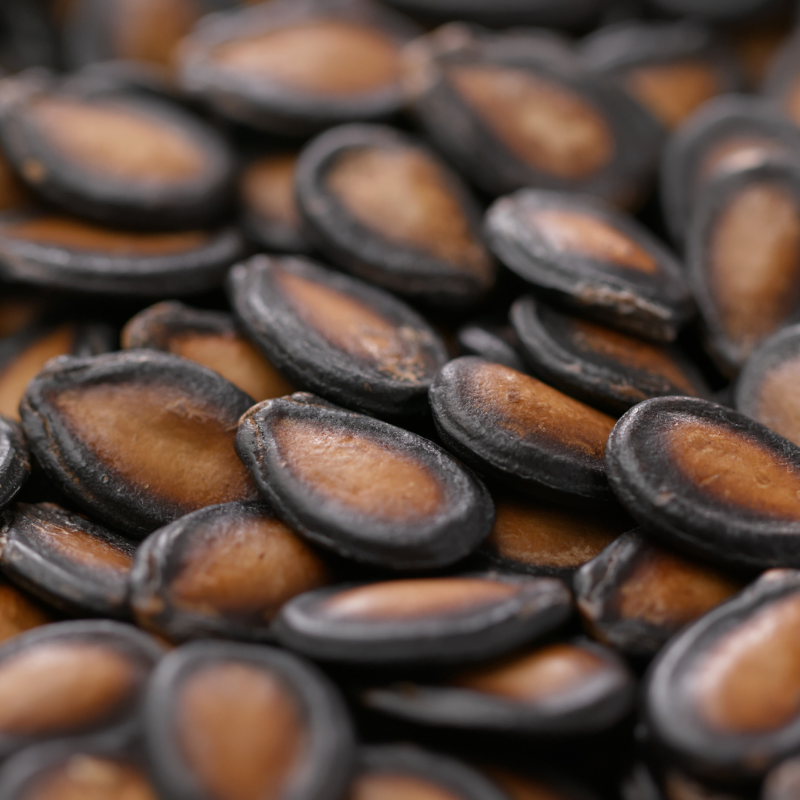 Watermelon Round Black seeds - 10