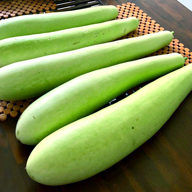 Bottle gourd long Ramdev seeds - 10