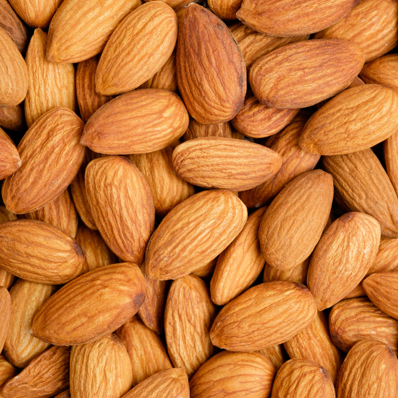North Himalayan Almond (Badam) seeds - 5